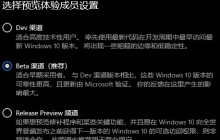 了解win11预览体验成员设置的选项