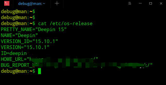 deepin系统版本号怎么看? deepin系统查看系统版本信息的技巧