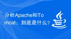 Analyzing Apache and Tomcat: What are they?