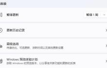 是否需要关闭Win11的自动更新功能？