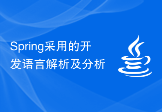 Analisis dan analisis bahasa pembangunan yang digunakan oleh Spring