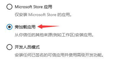 如何停用Win11的開發者模式