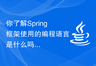 Do you understand what programming language the Spring framework uses?