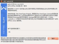 解决Ubuntu系统中WPS无法输入中文的问题该做什么？