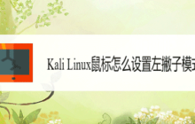 如何在Kali Linux中设置鼠标为左撇子模式？选择Linux鼠标左手操作的方法