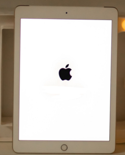 iPad无法启动，卡在白苹果开机界面，尝试更新至iPadOS16.1