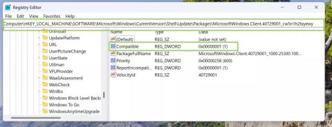 Win11 预览版25300怎么开启文件资源管理器图库隐藏功能?