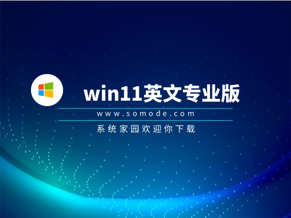 2024년에 선정된 Win11 버전 순위