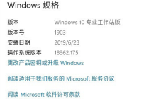 win10工作站版和专业版哪个性能更好