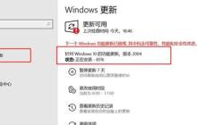 windows1020h1测试版本发布时间解析