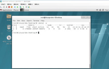 如何使用vmstat命令在Linux系统中显示虚拟内存状态？