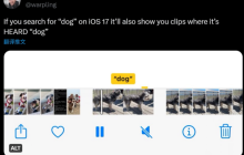 揭秘iOS 17的隐秘功能：用关键词搜索在iPhone视频中的声音