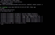 如何在Linux中设置每日定时任务？