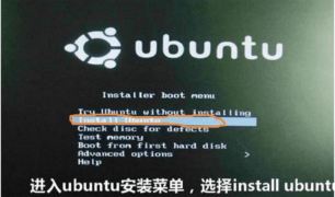 使用圖文指南,教你在Windows 10上安裝雙系統ubuntu 18.04的方法詳解