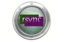 排除文件和目录的rsync使用指南