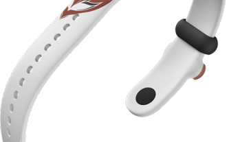 Xiaomi Mi Band 8pro는 WeChat 보기를 지원합니까?
