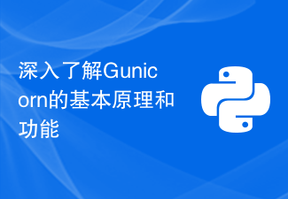 Learn more about Gunicorn's fundamentals and features