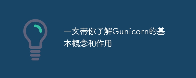 一文带你了解Gunicorn的基本概念和作用