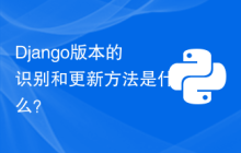 Django版本的识别和更新方法是什么？