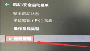 学习如何启用win11的安全启动功能