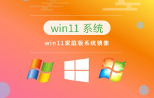 哪个版本的Win11是最佳选择