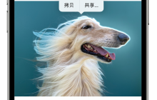 学习苹果官方iPhone的10个小技巧！