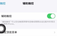 苹果手机小圆点的隐藏操作有哪些？如何调整小白点的透明度？