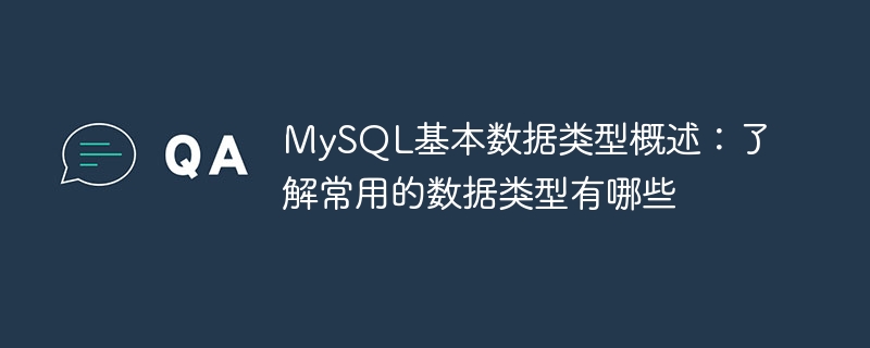 MySQL基本数据类型概述：了解常用的数据类型有哪些