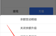 支付宝冻结余额的详细操作流程及指南