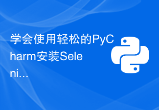 PyCharm을 사용하여 Selenium을 쉽게 설치하는 방법 알아보기: PyCharm 설치 및 구성 가이드