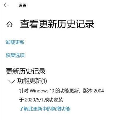 win10 2004 バージョンのグリーン スクリーンの問題を解決する