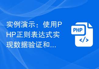 Exemple de démonstration : utilisation d'expressions régulières PHP pour implémenter des fonctions de validation et de filtrage des données