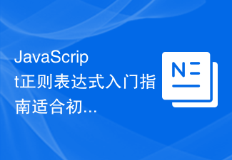 JavaScript正则表达式入门指南适合初学者阅读