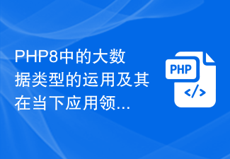 PHP8 におけるビッグデータ型の適用と現在の応用分野におけるその分析