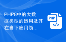 PHP8中的大数据类型的运用及其在当下应用领域中的解析