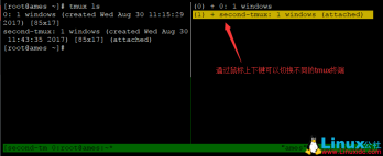 Tmux 终端命令行介绍