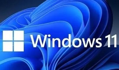 Unterscheiden Sie den Unterschied zwischen der Business-Version und der Consumer-Version von Win11