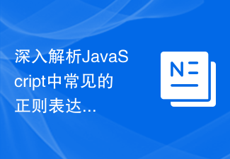 深入解析JavaScript中常見的正規表示式操作和實例