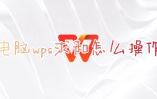 如何在WPS表格中使用自动求和功能