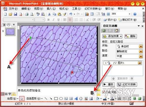 How to add a microscope to PowerPoint