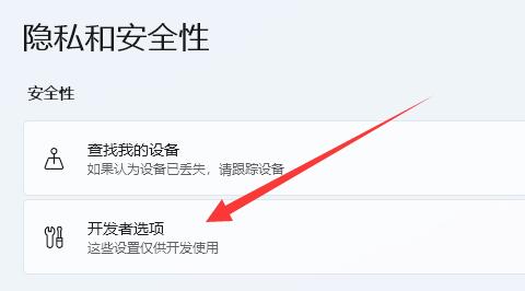 Win11开启开发者选项教程