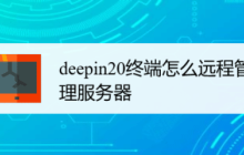 deepin20终端远程管理服务器的方法