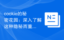 cookie的秘密花园：深入了解这种隐秘而重要的数据存储方式