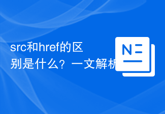 src和href的区别是什么？一文解析！