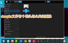 deepin文件有个锁头怎么删除? deepin删除带锁头文件的技巧