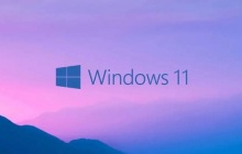 win11正式版有wsa吗详细介绍