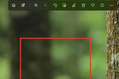 How to compress photo size in win11