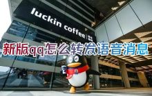 新版qq怎么转发语音消息 2023qq怎么转发语音给别人听