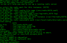 CentOS7上的Redis安装和设置操作指南