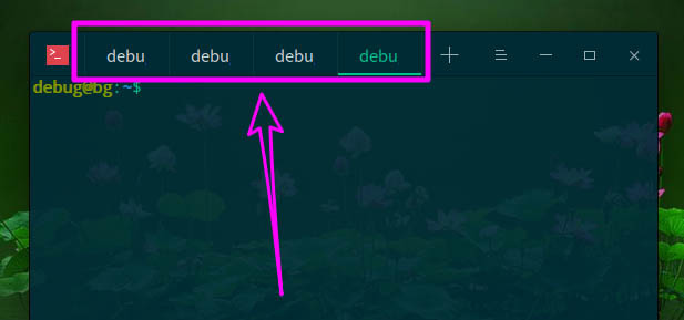 deepin20怎么打开多个终端窗口? deepin打开终端命令窗口的技巧